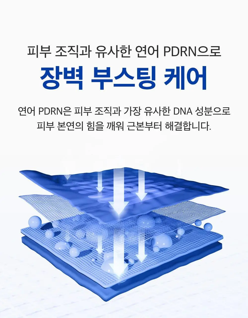 [한정기획/고함량PDRN] 성분에디터 알래스카 PDRN 울트라 모이스처라이징 배리어 크림 50ml (+10ml*2) 상세페이지 27